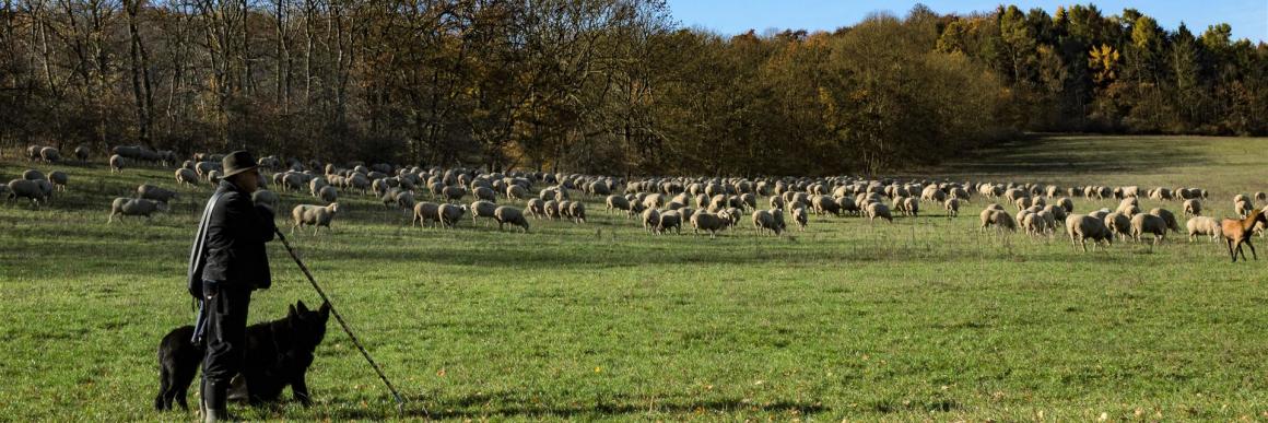 Kleinbäuerliche Landwirtschaft schützen! Supermarkt stoppen!