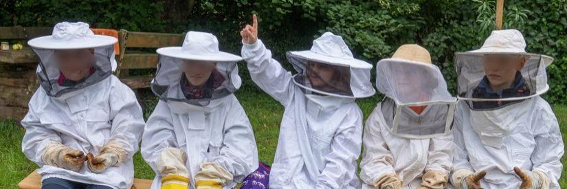 Ferienprogramm: Entdeckungsreise zu den Bienen